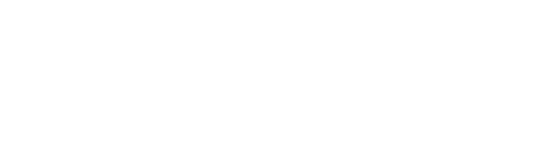 Alonzee logo